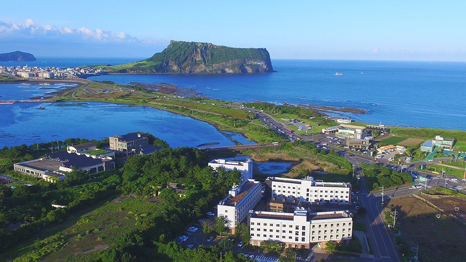 Playce Camp Jeju