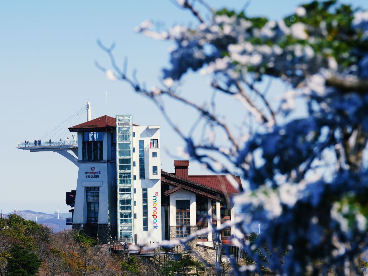 용평리조트 타워 콘도