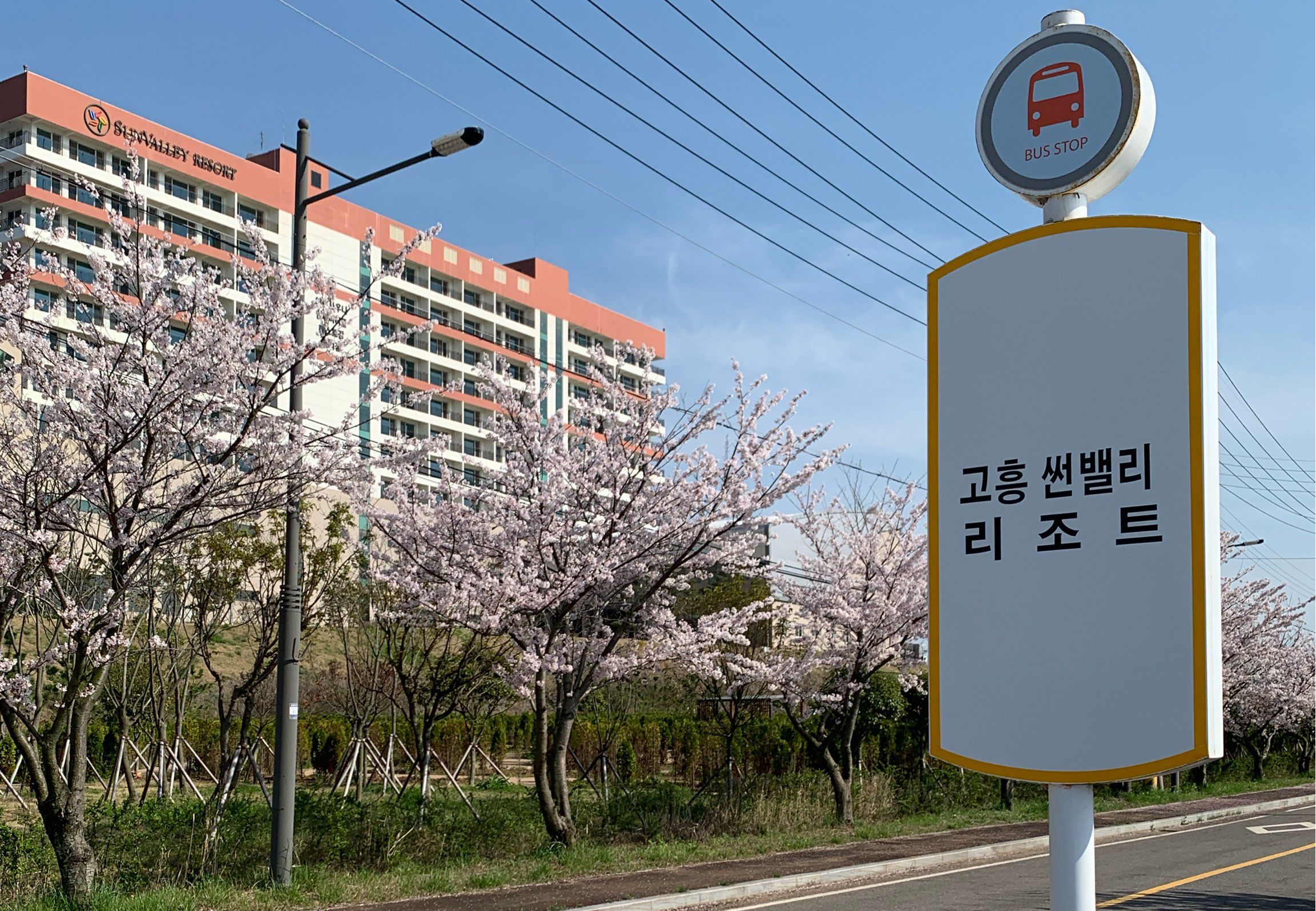 고흥 썬밸리리조트
