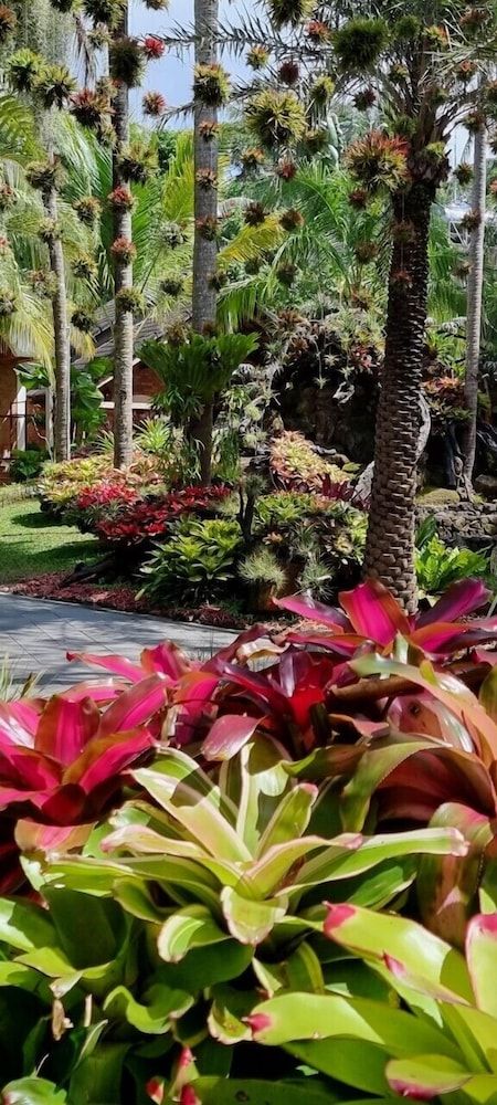 Coco Palm Beach Resort & Spa