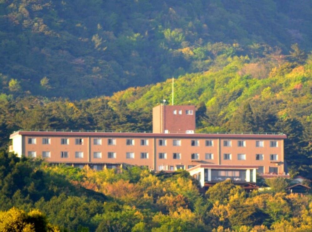 료코진 산소