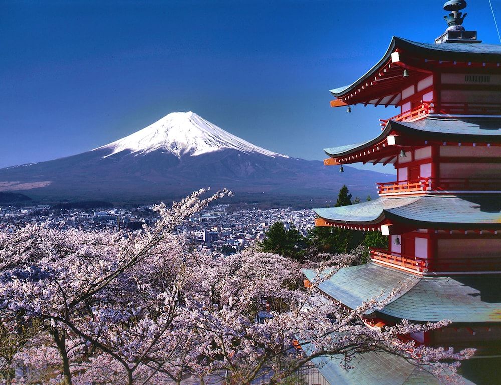 HOTEL MYSTAYS Fuji Onsen Resort