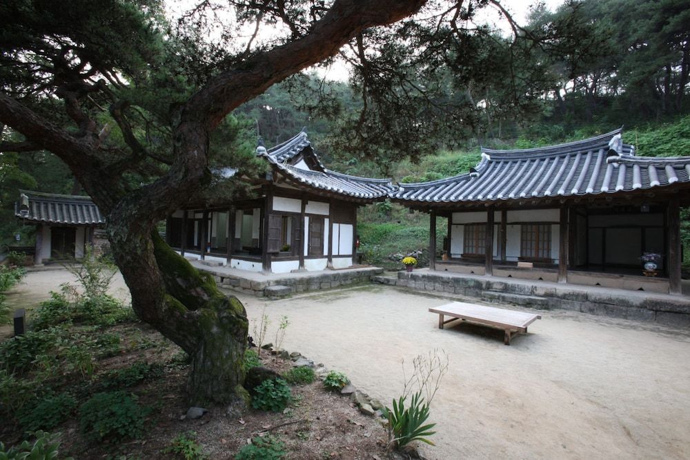 옥연정사