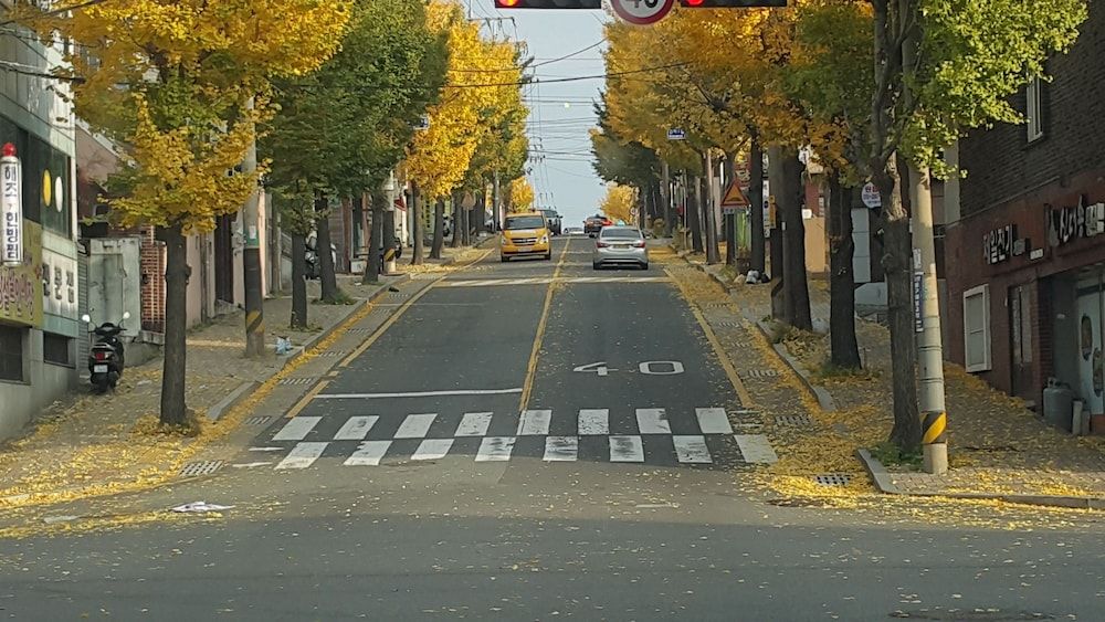 울산 게스트 하우스 배호한마루