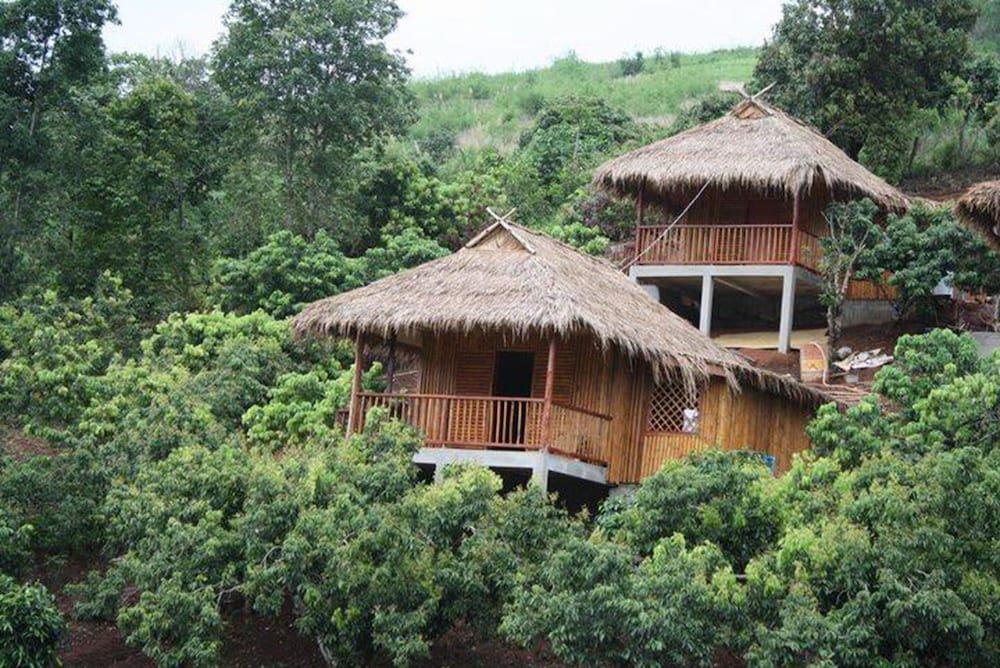 Wawee Strawberry House