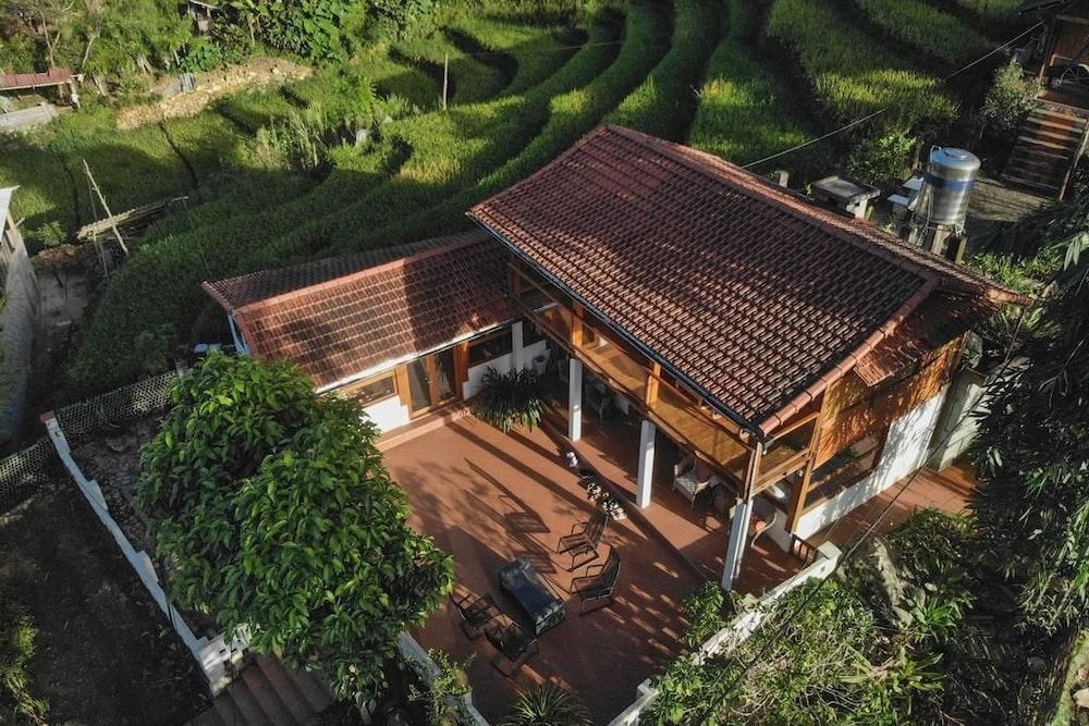 Lucky Daisy Buffalo House