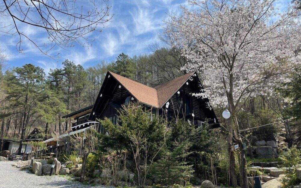 비발디하우스펜션