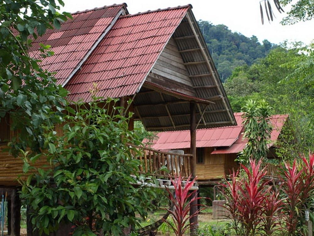 Khaosok Palmview