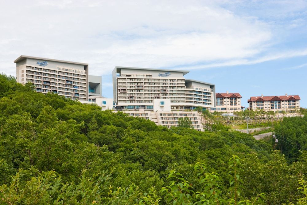 하이원 리조트