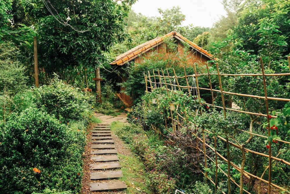Suoi Rao Ecolodge