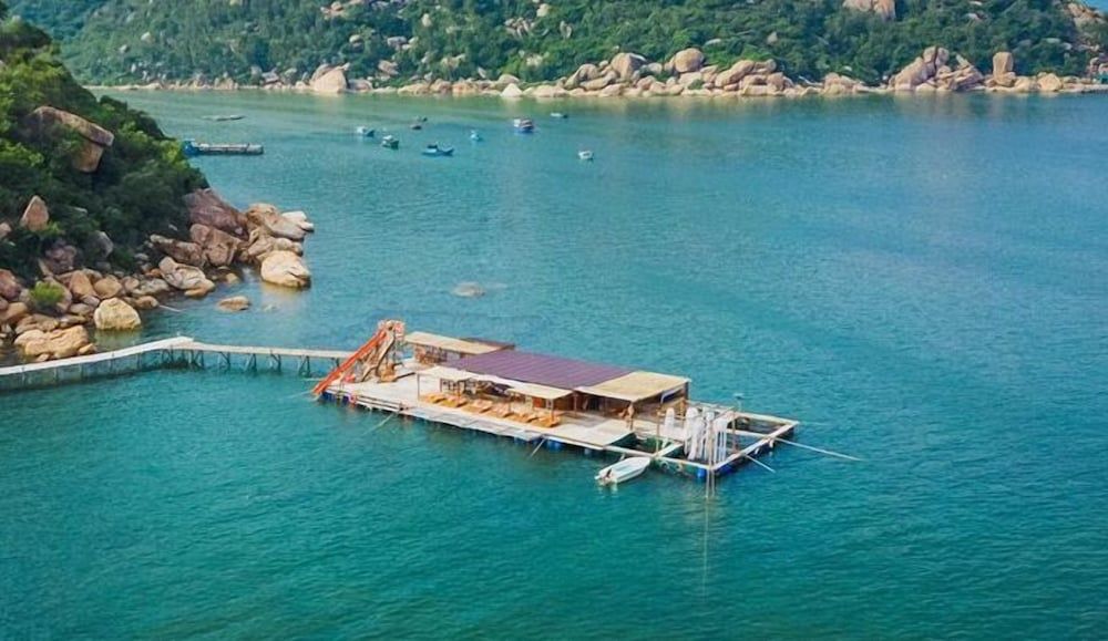 Sao Bien Cam Ranh